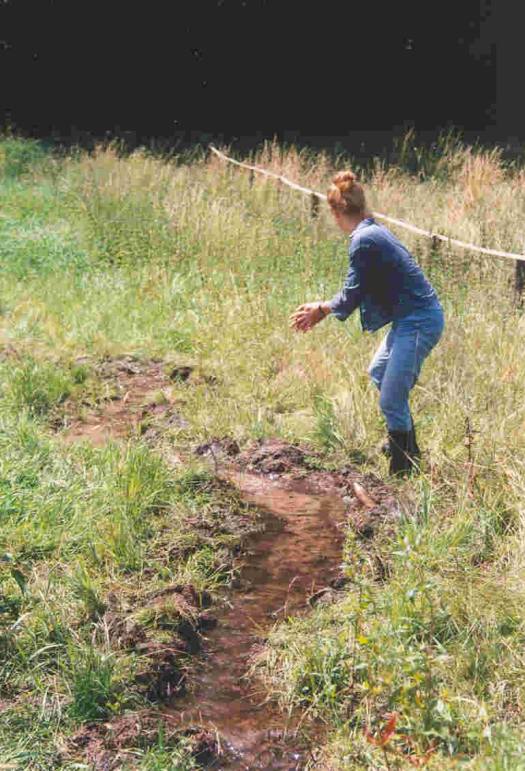 Offenlegung Hohenecker Mühlbach 