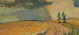 Die drohenden Regenwolken werfen einen Schatten auf das, von der Sonne beschienene, sommerlich-leuchtende Feld.