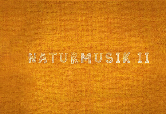 Naturmusik (7-14 Jahre)