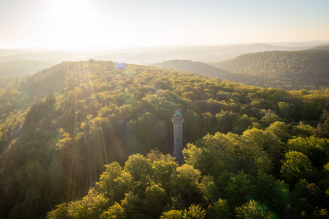 © Pfalz.Touristik e.V., Bild: Dominik Ketz Blick aus der Luft auf den Humbergturm und den darumliegenden Pfälzerwald. © Pfalz.Touristik e.V., Bild: Dominik Ketz