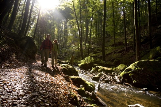 Blick in die Karlstalschlucht. Links sieht man zwei Wanderer, in der Mitte einen Bach. Die Schlucht ist gesäumt von Bäumen.