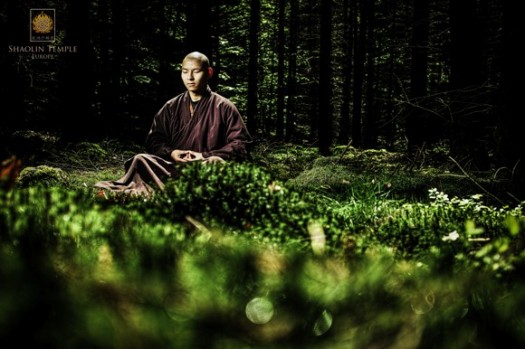 © Shaolin Temple Europe Shaolin Temple Europe © Shaolin Temple Europe